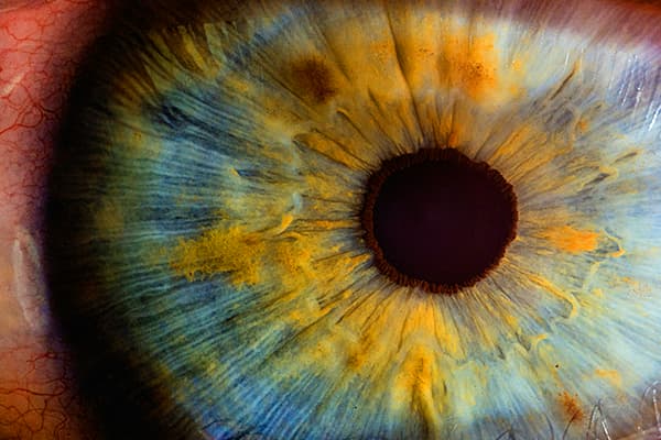 Synthetic Retina Images