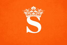 Salucop Group, IncData provider Logo on Opendatabay data marketplace